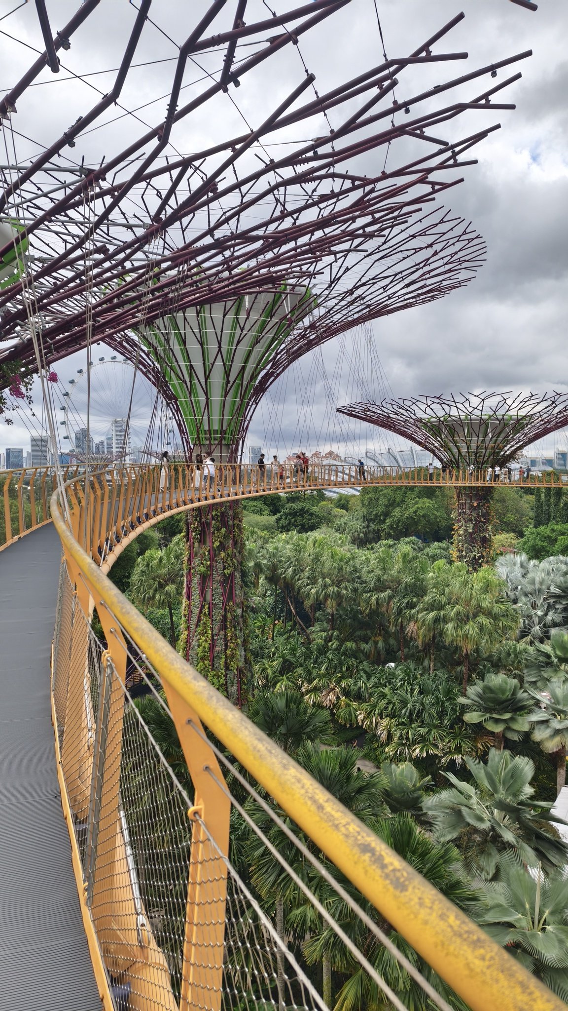 Supertrees v parku Gardens by the Bay v Singapuru