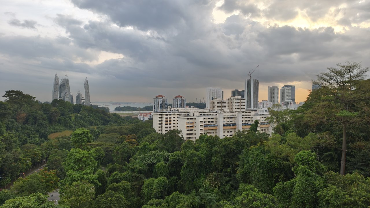 Henderson Waves – nejvyšší pěší most v Singapuru s dřevěnou konstrukcí - výhled
