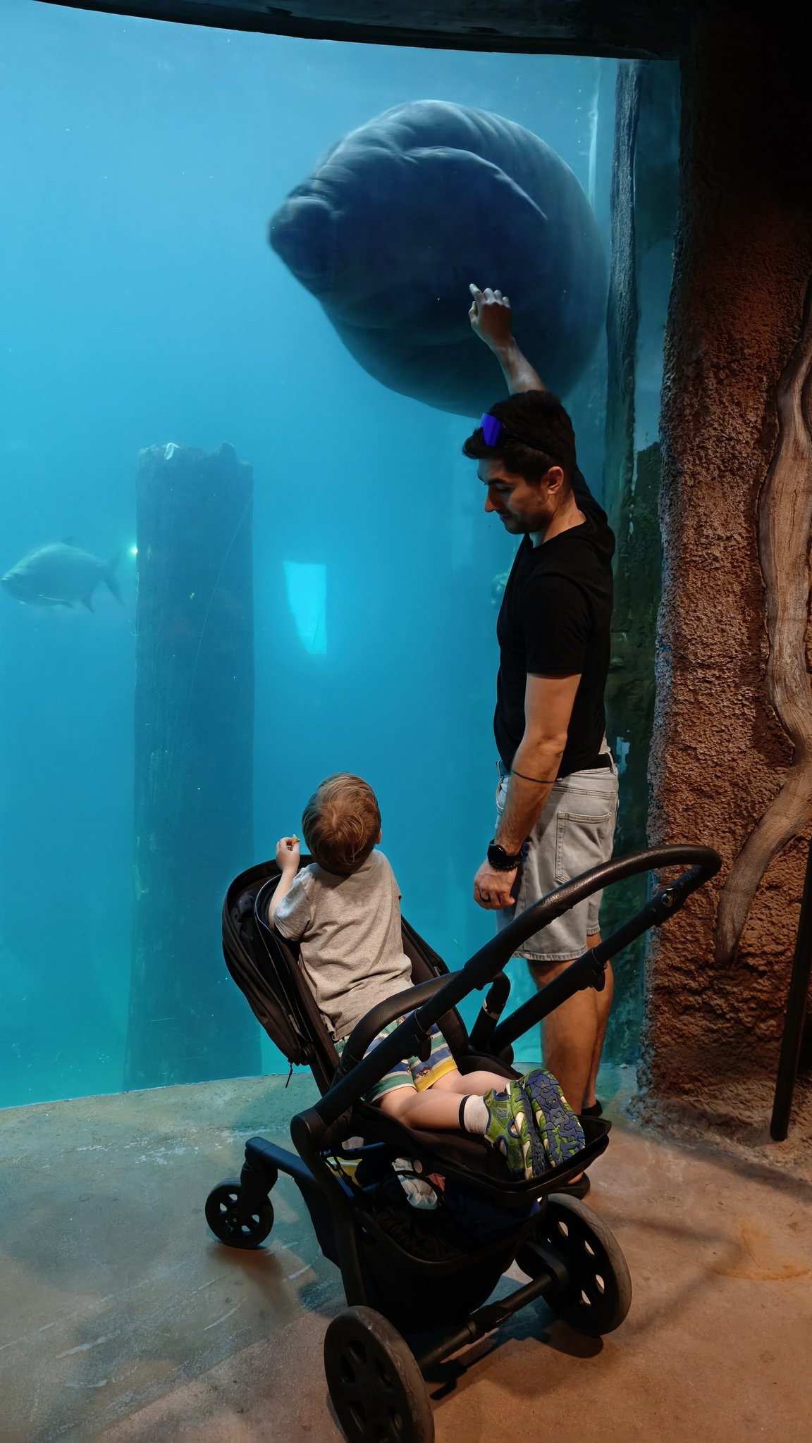 Velké akvárium s tropickými rybami v River Wonders v Singapuru